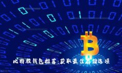 比特股钱包推荐：获取最佳存储选项