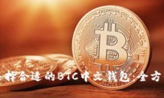 如何选择合适的BTC中文钱包：全方位指南