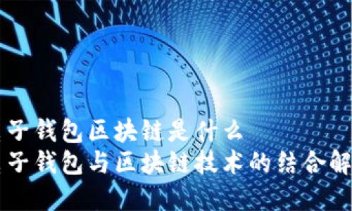 电子钱包区块链是什么
电子钱包与区块链技术的结合解析