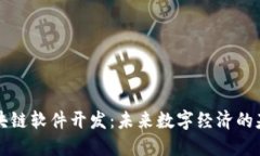 区块链软件开发：未来数字经济的基石