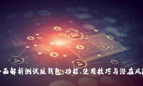 全面解析测试版钱包：功能、使用技巧与潜在风险
