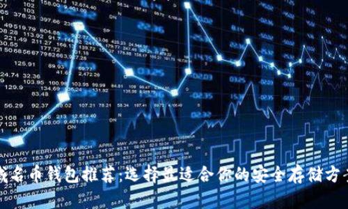 域名币钱包推荐：选择最适合你的安全存储方案
