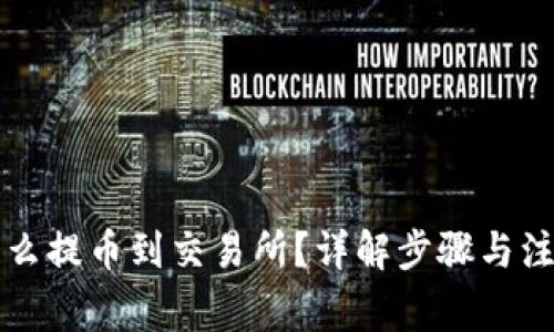 钱包怎么提币到交易所?详解步骤与注意事项