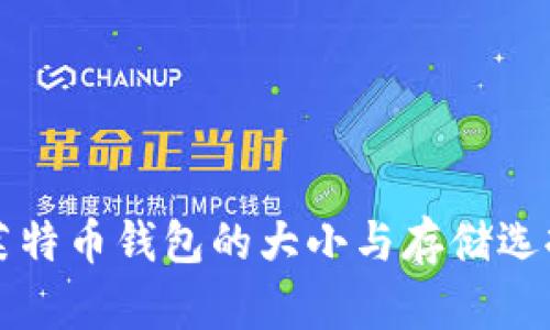 莱特币钱包的大小与存储选择