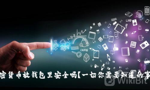 加密货币放钱包里安全吗?一切你需要知道的事项