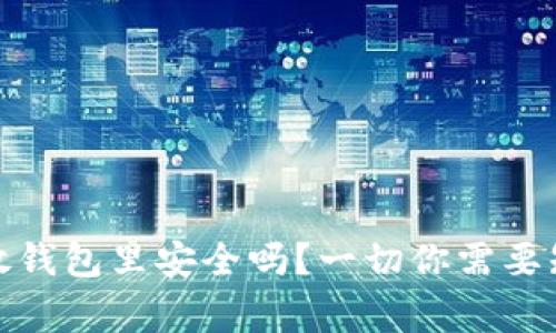 加密货币放钱包里安全吗?一切你需要知道的事项