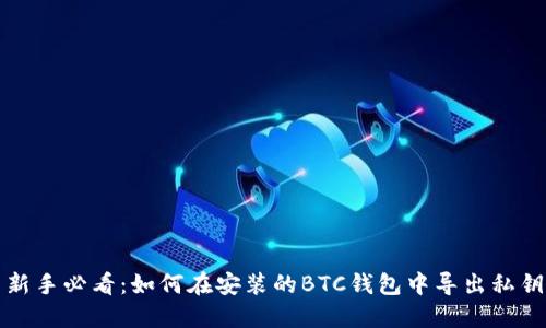 新手必看：如何在安装的BTC钱包中导出私钥