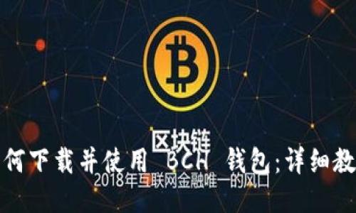 如何下载并使用 BCH 钱包：详细教程