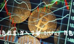 比特币钱包推荐：深入了解 BitPay 钱包及其特点
