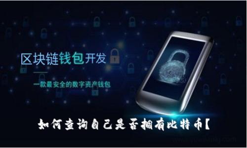 如何查询自己是否拥有比特币?