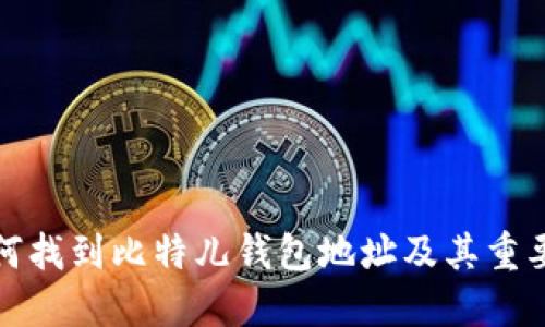 如何找到比特儿钱包地址及其重要性