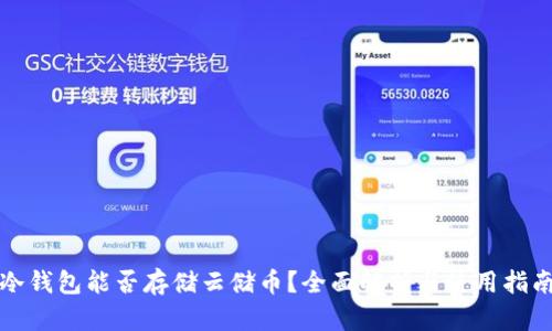 冷钱包能否存储云储币?全面解析与使用指南