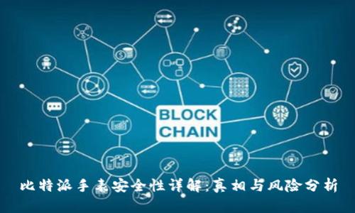 比特派手表安全性详解：真相与风险分析