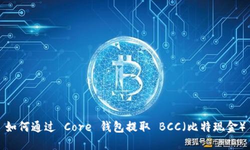 如何通过 Core 钱包提取 BCC(比特现金)