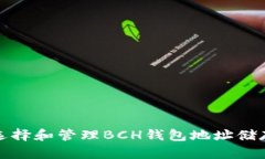 如何选择和管理BCH钱包地址储存空间