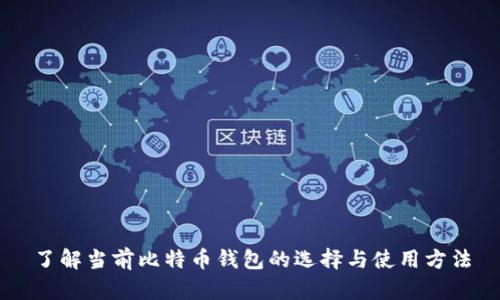了解当前比特币钱包的选择与使用方法