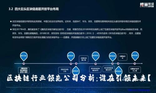区块链行业领先公司分析:谁在引领未来?