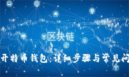 如何打开特币钱包:详细步骤与常见问题解答