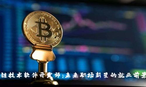 区块链技术软件开发师:未来职场新星的就业前景分析