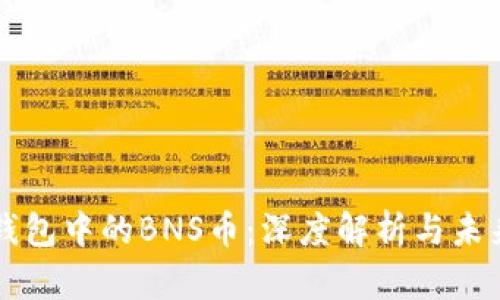 波宝钱包中的BNS币:深度解析与未来展望