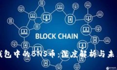 波宝钱包中的BNS币:深度解析与未来展望