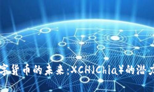 发现数字货币的未来:XCH(Chia)的潜力与应用