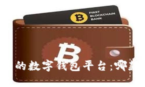 用户量最多的数字钱包平台:哪款最适合你?