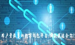 用户量最多的数字钱包平台:哪款最适合你?