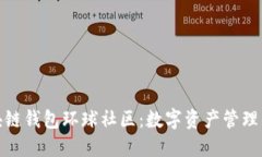探索区块链钱包环球社区:数字资产管理的新时