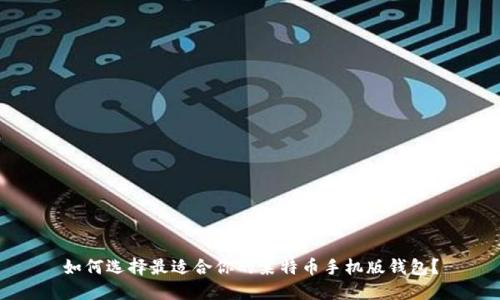 如何选择最适合你的莱特币手机版钱包?