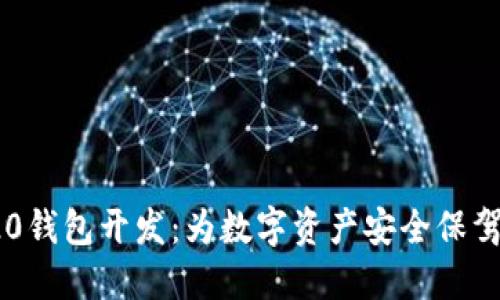 TRC20钱包开发:为数字资产安全保驾护航