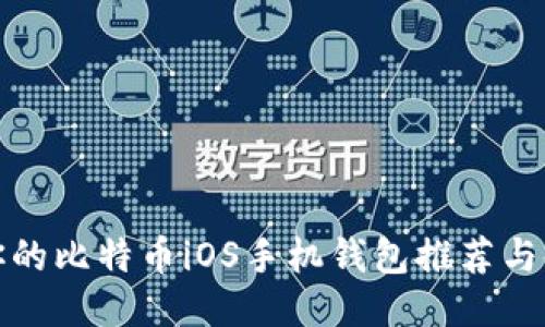 最适合你的比特币iOS手机钱包推荐与使用指南