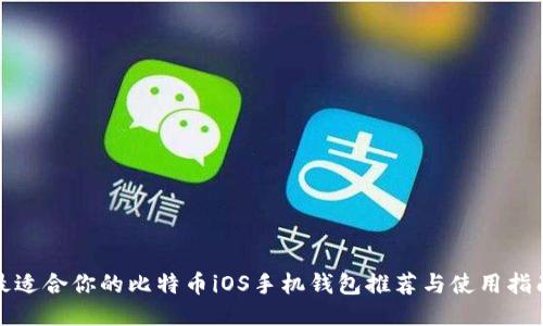 最适合你的比特币iOS手机钱包推荐与使用指南