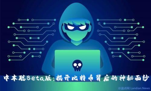 中本聪Beta版：揭开比特币背后的神秘面纱