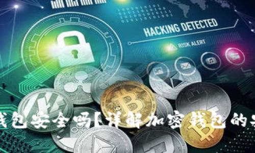 区块链里的钱包安全吗？详解加密钱包的安全性与风险