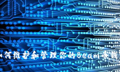 如何维护和管理你的Beam币钱包