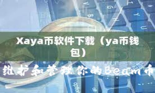 如何维护和管理你的Beam币钱包
