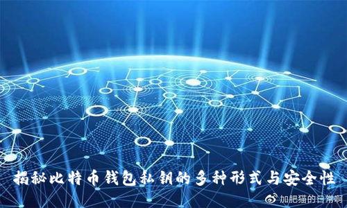 揭秘比特币钱包私钥的多种形式与安全性