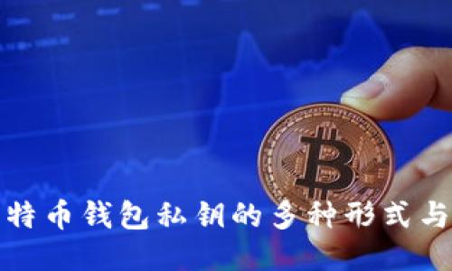 揭秘比特币钱包私钥的多种形式与安全性