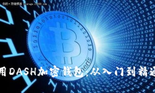 如何安全使用DASH加密钱包：从入门到精通的全面指南