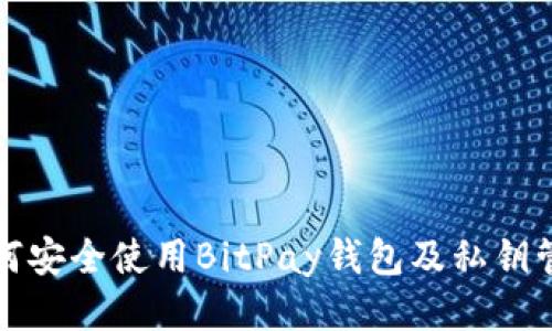 如何安全使用BitPay钱包及私钥管理