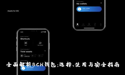全面解析BCH钱包:选择、使用与安全指南