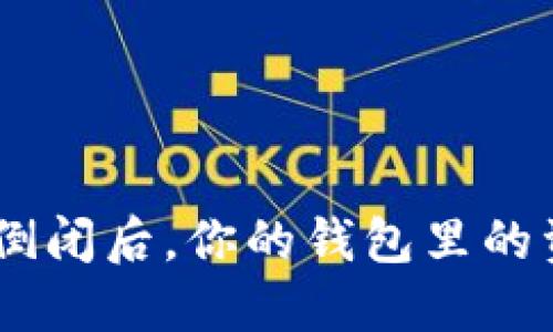 虚拟币钱包APP倒闭后，你的钱包里的资产该如何处理？