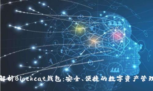 全面解析Blockcat钱包:安全、便捷的数字资产管理利器